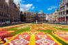 Bruxelles, Grand Place - infiorata bruxelles