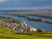 rudesheim