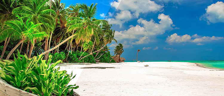maldive
