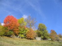 autunno
