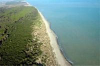 Marina di Pisticci ... mare e pineta