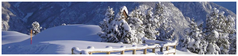 Banner Speciale Neve
