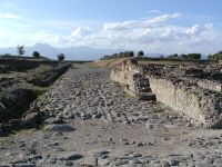 Sibari,il parco archeologico di Sibari