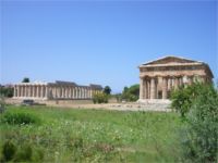 Paestum ... templi