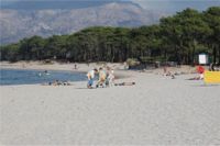 Calvi ...mare e pineta