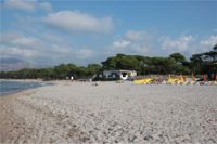 Calvi la spiaggia