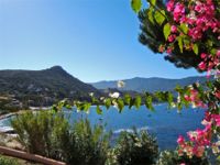 Golfo di Sagone,Tiuccia