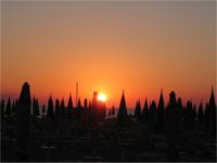 Hotel Picador,spiaggia village60