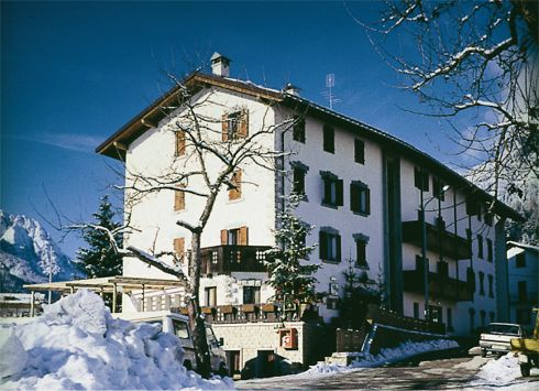 Hotel Villa Alpina,Forni di Sopra