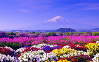giappone