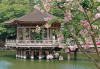 Nara, il Parco nara