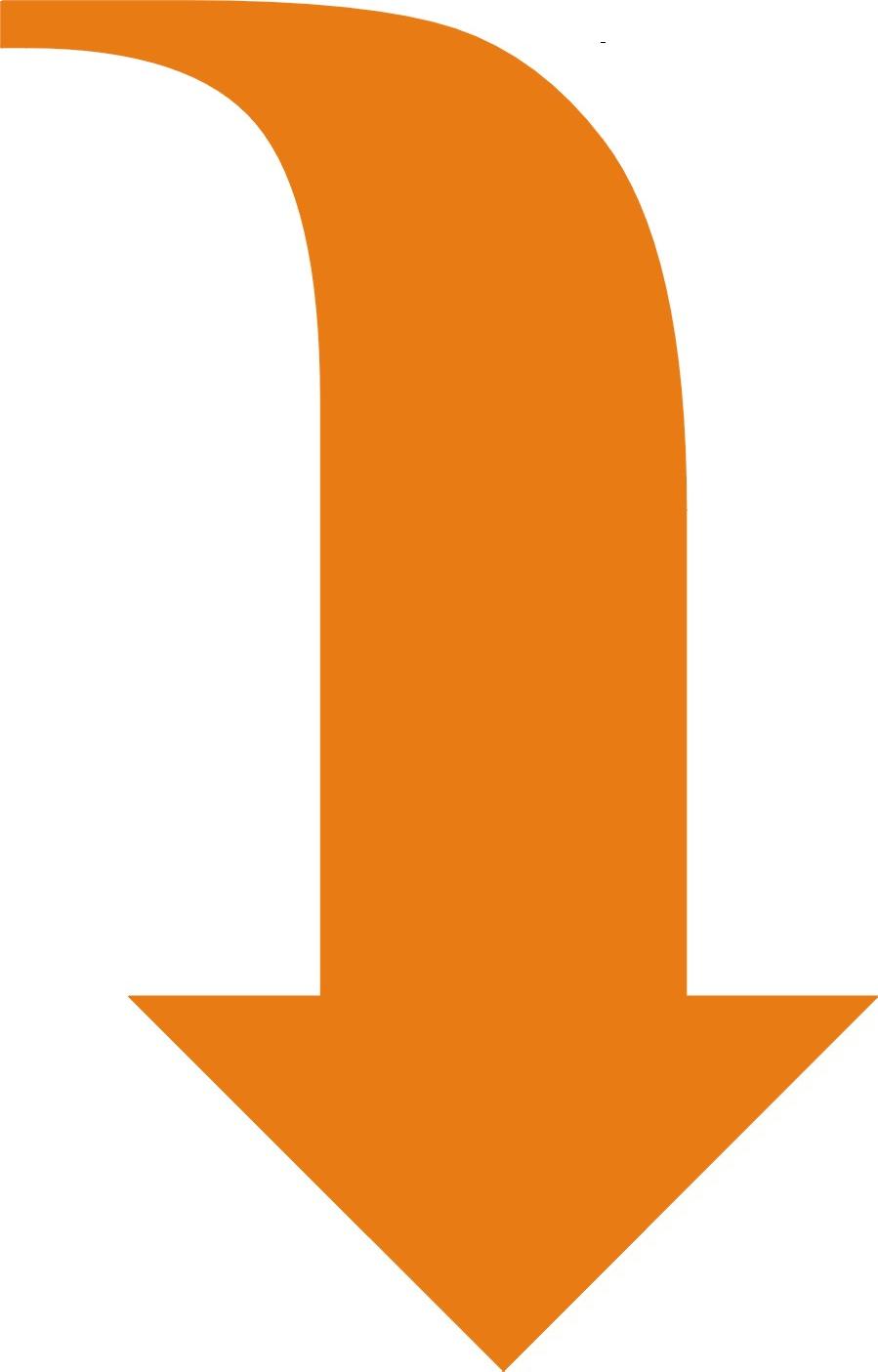 external image freccia%20giu.JPG