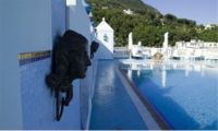 piscina esterna