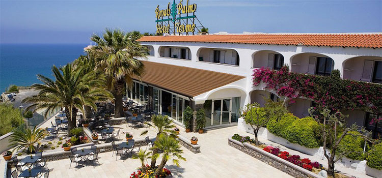 royal palm