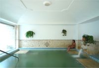 Hotel Don Pepe,piscina coperta