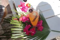Park Hotel Romantica,drink