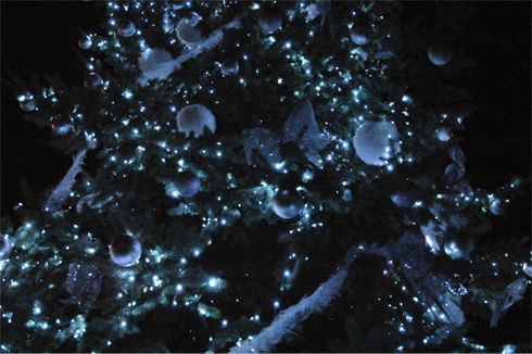 Loano albero di Natale
