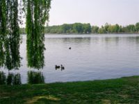 Mantova, lago superiore lago superiore