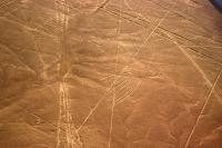 Paracas disegni Nasca linee
