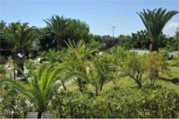 Villaggio Hotel La Brunese, parco