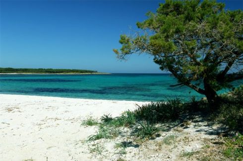 Budoni: pieneta,sabbia bianca e mare azzurro intenso