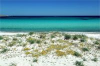 Budoni,spiagge bagnate da un mare azzurro intenso