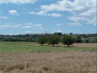 Laterina, campafna Laterina,Arezzo,Toscana hotel,residence,appartamenti,agriturismi