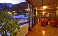 Hotel Regina e Fassa,louge
