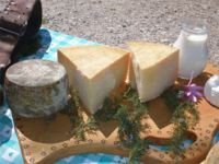 Formaggi di Malga Fratte
