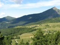 Malga Trenca Lagorai