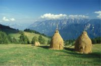 Valsugana estate