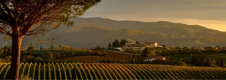 Torgiano umbria comune della provincia di perugia Brufa di torgiano