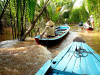 Ben Tre navigazione lungo il ruscello delle palme (ruscelli di Cái Còi) ben tre