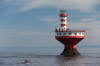 faro