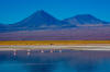 lagoevulcano