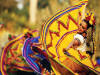 Mexico colori e folclore