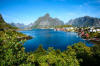 reine