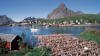 lofoten