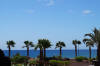 Fuerteventura, palme e mare azzurro palme