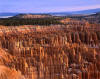 bryce