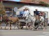 kanab