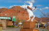 Kanab