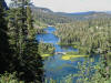 mammoth