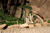 zion