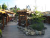 calafate