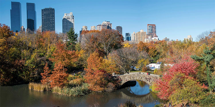 ny-autunno