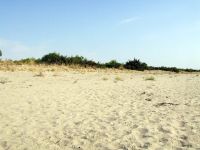 Scanzano Jonico, la spiaggia di sabbia fine