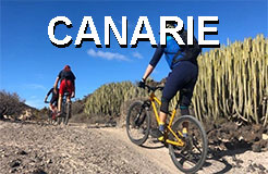 canarie