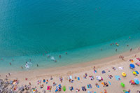 tropea