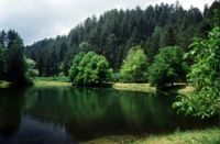Lago Arvo,specchio d'acqua